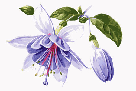 Watercolor flower on white backgroundのイラスト素材