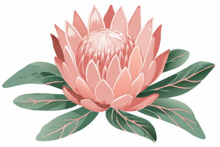 Watercolor flower on white backgroundのイラスト素材