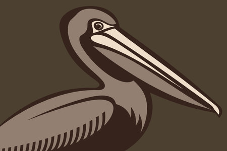Minimalist pelican on white backgroundのイラスト素材