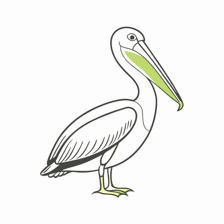Minimalist pelican on white backgroundのイラスト素材