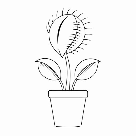 Minimalist Venus flytrap on white backgroundのイラスト素材