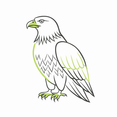 Minimalist eagle on white backgroundのイラスト素材