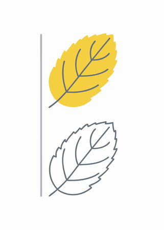 Minimalist Mint leaf on white backgroundのイラスト素材