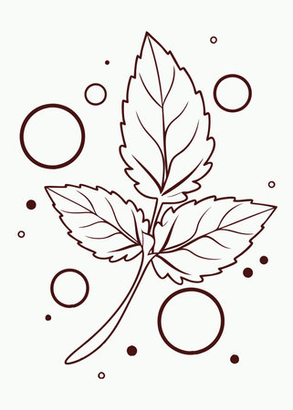 Minimalist Mint leaf on white backgroundのイラスト素材