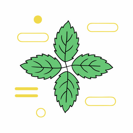 Minimalist Mint leaf on white backgroundのイラスト素材