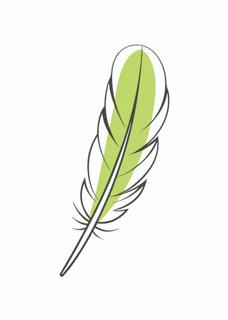 Feather illustration on white backgroundのイラスト素材