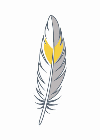 Feather illustration on white backgroundのイラスト素材