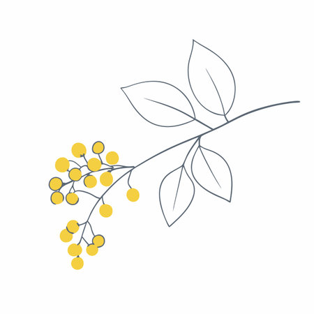 Minimalist Branch of bird cherry or lilac on white backgroundのイラスト素材