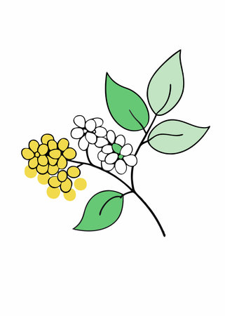 Minimalist Branch of bird cherry or lilac on white backgroundのイラスト素材