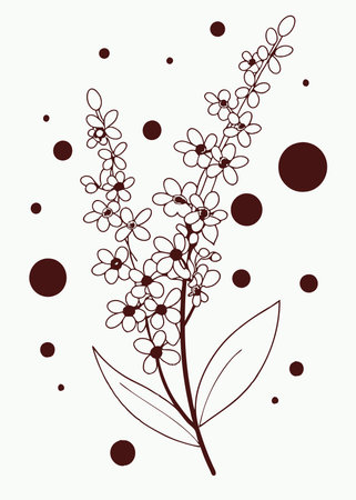 Minimalist Branch of bird cherry or lilac on white backgroundのイラスト素材