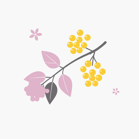 Minimalist Branch of bird cherry or lilac on white backgroundのイラスト素材
