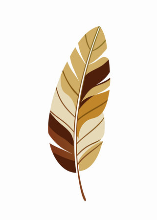 Minimalist Banana leaf on white backgroundのイラスト素材