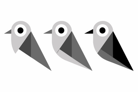 Minimalist birds made of polygonal shapes on white backgroundのイラスト素材