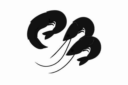 Minimalist Boiled shrimp on white backgroundのイラスト素材