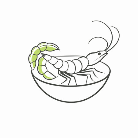 Minimalist Boiled shrimp on white backgroundのイラスト素材