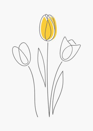 Minimalist bouquet of tulips on white backgroundのイラスト素材