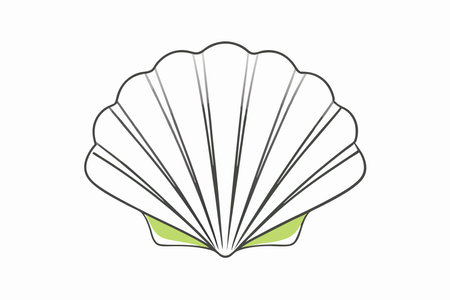 Minimalist Seashell on white backgroundのイラスト素材