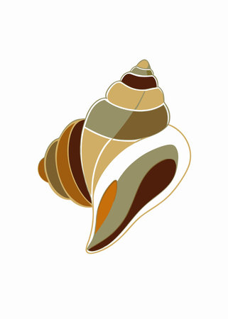 Minimalist Seashell on white backgroundのイラスト素材