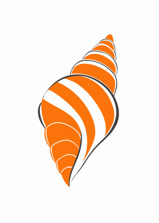 Minimalist Seashell on white backgroundのイラスト素材