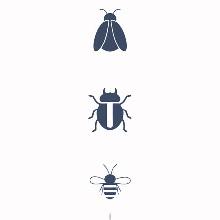Minimalist Insect fly beetle bee on white backgroundのイラスト素材