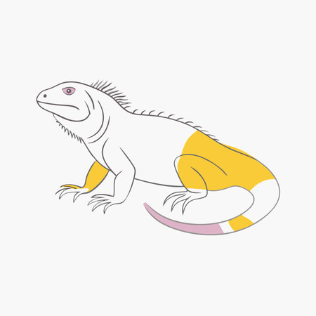 Minimalist Iguana on white background