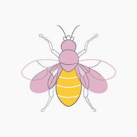Minimalist Insect fly beetle bee on white background