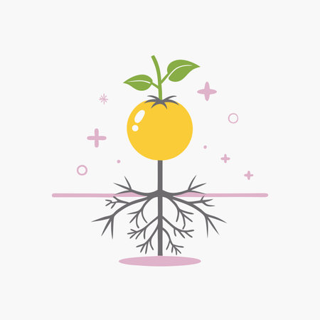 Minimalist tomatoes plant with roots on white backgroundのイラスト素材