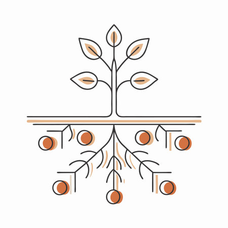 Minimalist tomatoes plant with roots on white backgroundのイラスト素材