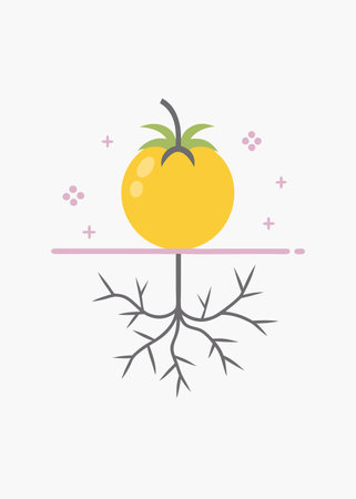 Minimalist tomatoes plant with roots on white backgroundのイラスト素材