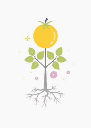 Minimalist tomatoes plant with roots on white backgroundのイラスト素材