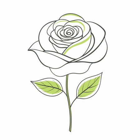 Rose flower on a white background. Vector illustration for your design.のイラスト素材