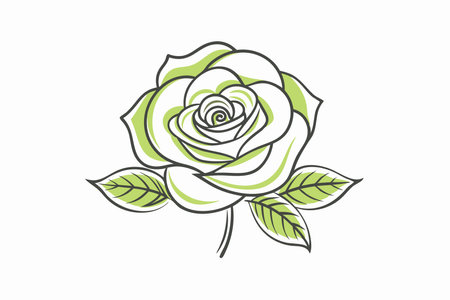 Illustration of a white rose with green leaves on a white backgroundのイラスト素材