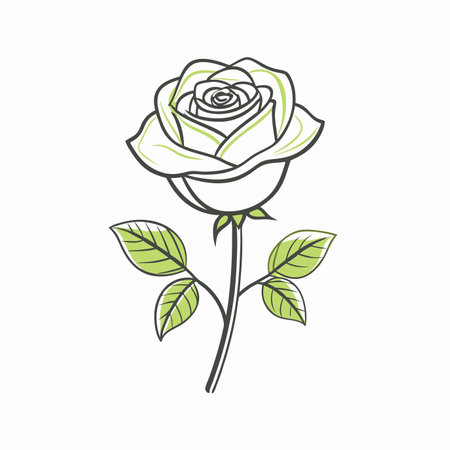 Beautiful rose isolated on white background. Hand drawn vector illustration.のイラスト素材