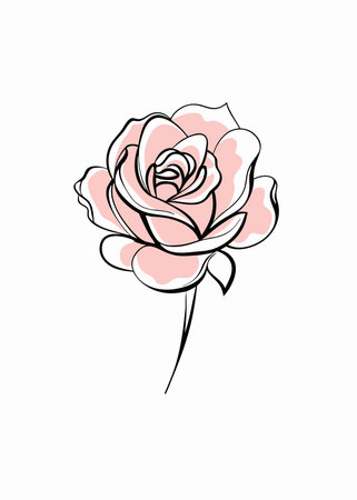Rose flower Clipart on White Backgroundのイラスト素材