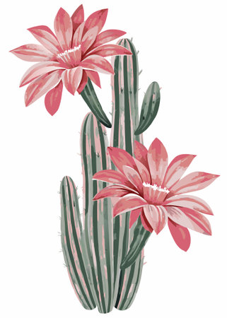 Watercolor cactus clipart on White Backgroundのイラスト素材