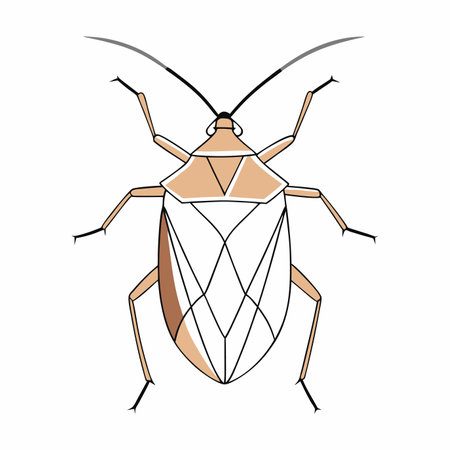 Minimalist Magnificent Chinese Dragons on White Backgroundのイラスト素材