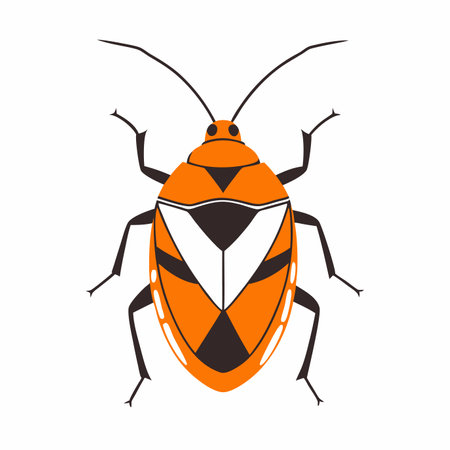 Minimalist Magnificent Chinese Dragons on White Backgroundのイラスト素材