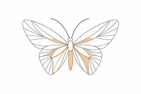 Butterfly Silhouette Clipart on White Backgroundのイラスト素材