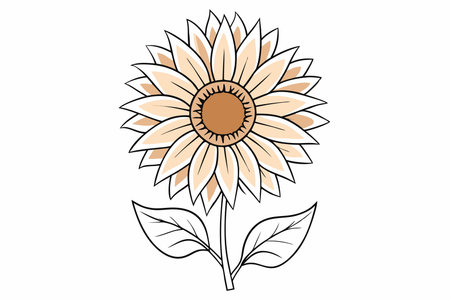 Sunflower Clipart on White Backgroundのイラスト素材