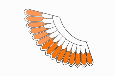 Eagle Wing Clipart on White Backgroundのイラスト素材