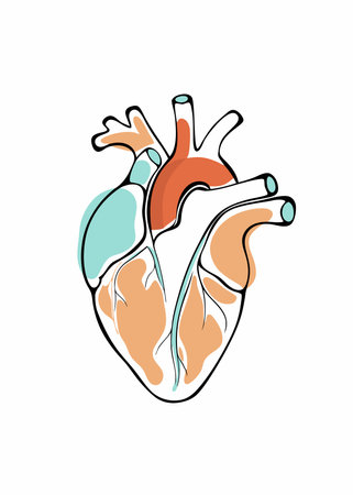 Human heart Clipart on White Backgroundのイラスト素材