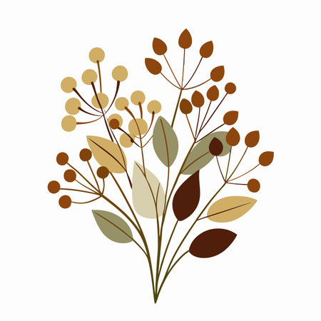 Minimalist Common baby's-breath plant on White Backgroundのイラスト素材