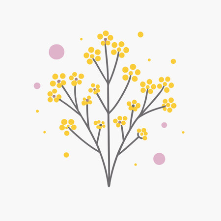 Minimalist Common baby's-breath plant on White Backgroundのイラスト素材