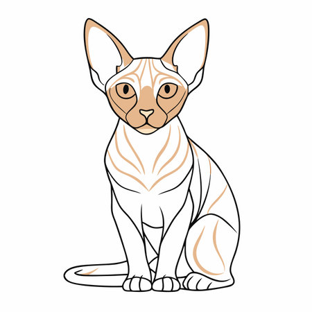 Minimalist cute Canadian Sphynx cat sitting on White Backgroundのイラスト素材