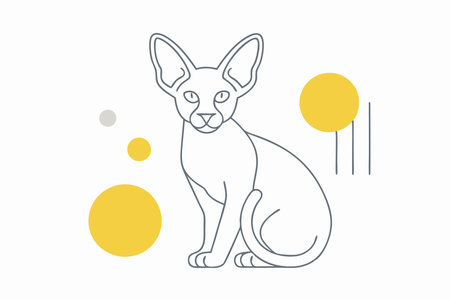 Minimalist cute Canadian Sphynx cat sitting on White Backgroundのイラスト素材