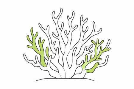 Minimalist Coral reef on White Backgroundのイラスト素材