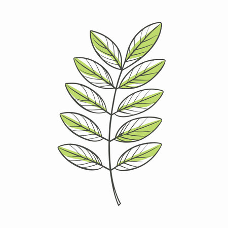 Minimalist Jacaranda leaf on White Backgroundのイラスト素材