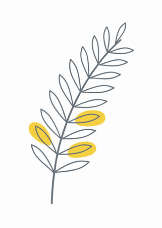 Minimalist Jacaranda leaf on White Backgroundのイラスト素材