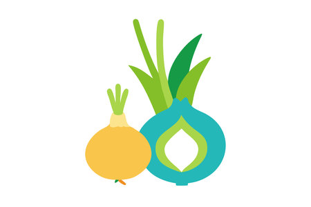 Minimalist onion on White Backgroundのイラスト素材