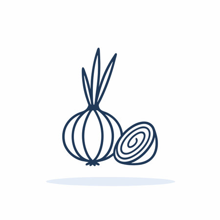 Minimalist onion on White Backgroundのイラスト素材
